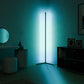 Nova Floor Lamp